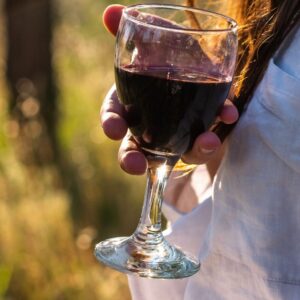 French wine tasting at Vino and Tap in Cary