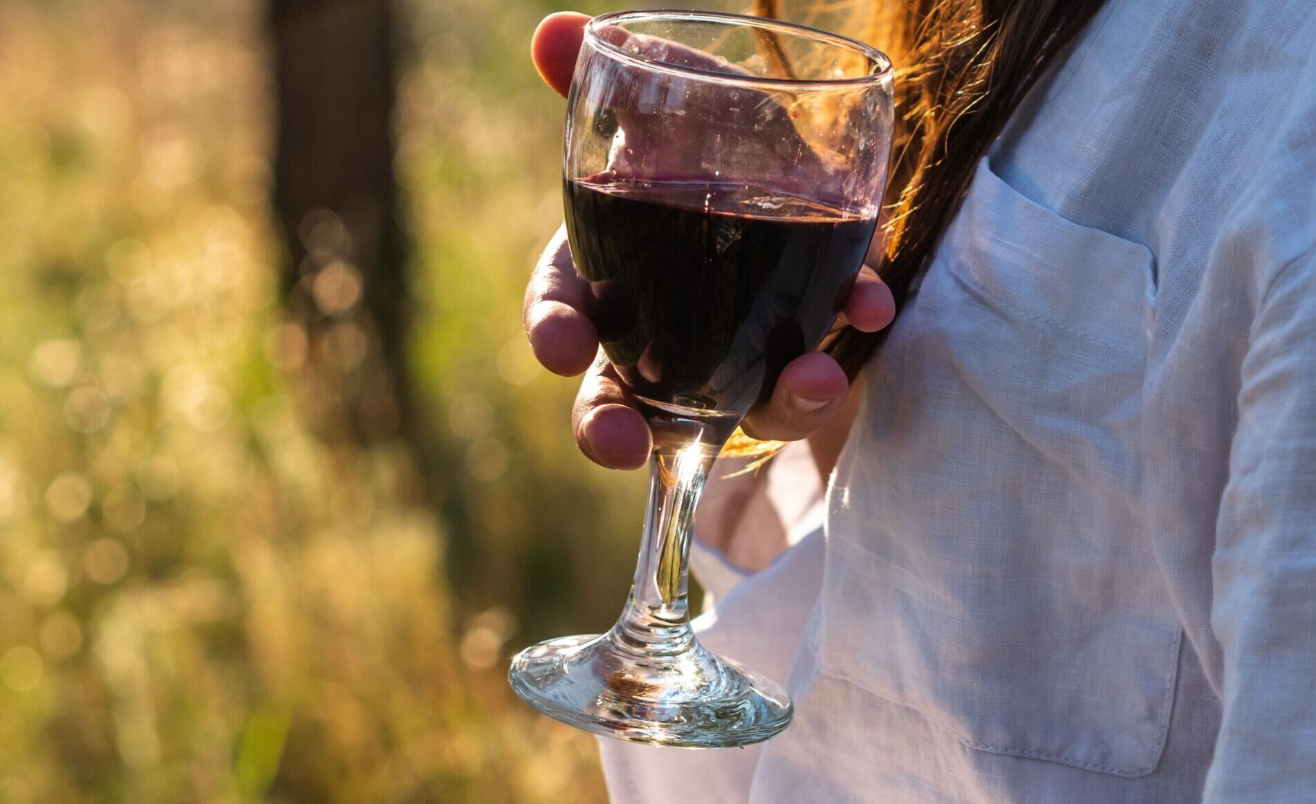 French wine tasting at Vino and Tap in Cary